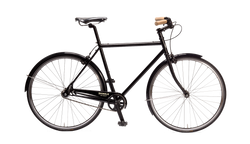 Hybrid Bike