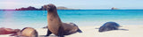 Galapagos Getaway